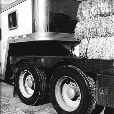 Nick Hermanns: Hay For The Horses