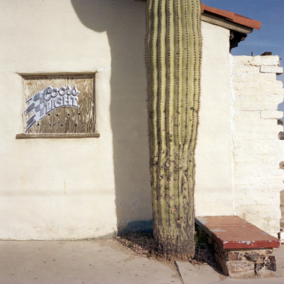 Nick Hermanns: DOMESTICATED CACTI