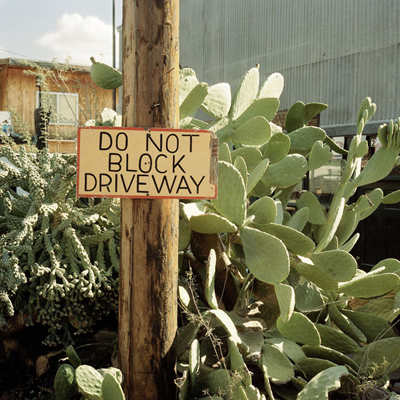 Nick Hermanns: DOMESTICATED CACTI