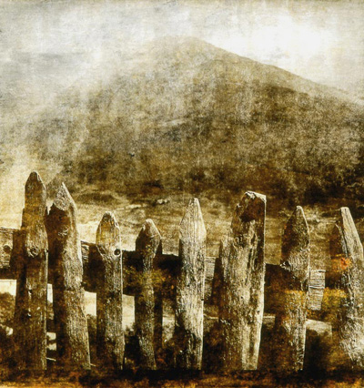 Martin Pudenz: Zaun am Berg