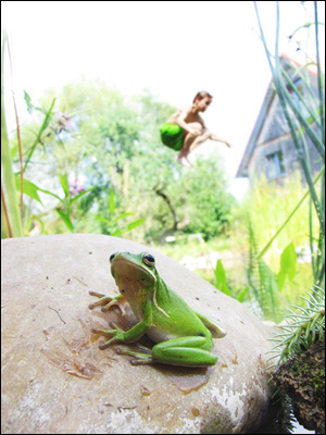 Walter Fogel: Frogdesign