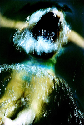 Walter Fogel: Waterworld I