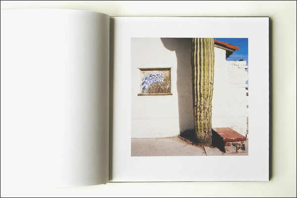 Nick Hermanns: DOMESTICATED CACTI