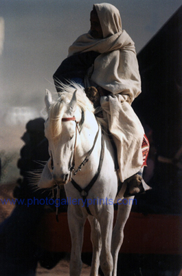 Markus Amon: Tuareg I