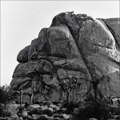 Bernd Schuler: Joshua Tree Nationalpark, California