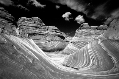 Peter Fauland: Surfing The Wave