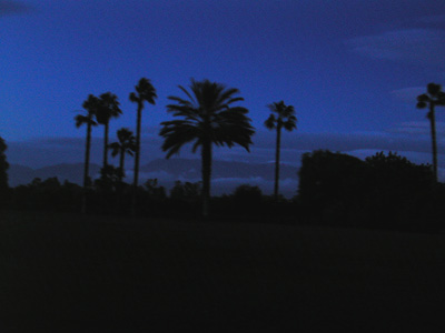 Markus Amon: Marrakesh I