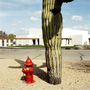 Nick Hermanns: Hydrant In Wickenburg / Arizona