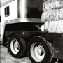Nick Hermanns: Hay For The Horses