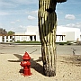 Nick Hermanns: 