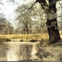 Martin Pudenz: Flusslandschaft