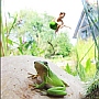Walter Fogel: Frogdesign