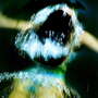 Walter Fogel: Waterworld I
