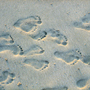 Wolfi Ott: Footprints