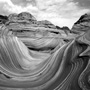 Peter Fauland: The Wave