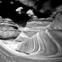 Peter Fauland: Surfing The Wave
