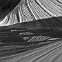 Peter Fauland: Double Wave