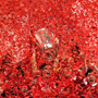 Glenn Campbell: Champions Leage